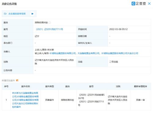 大連魯能置業(yè)新增開(kāi)庭公告 案由為排除妨害糾紛引發(fā)關(guān)注